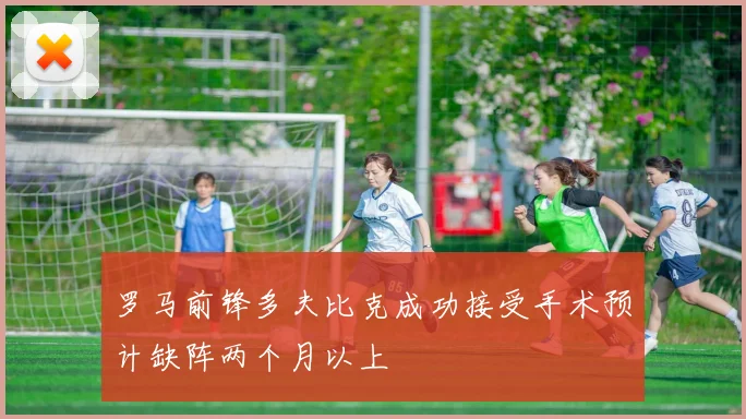罗马前锋多夫比克成功接受手术预计缺阵两个月以上